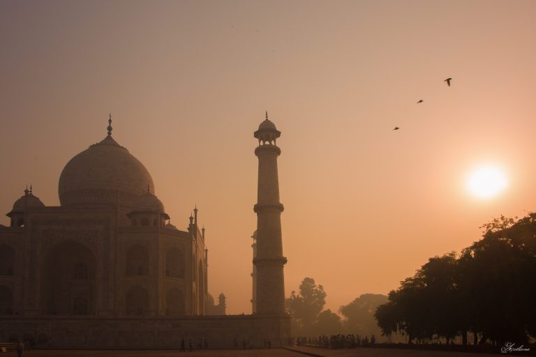 L’Inde, encore et toujours – 2025
